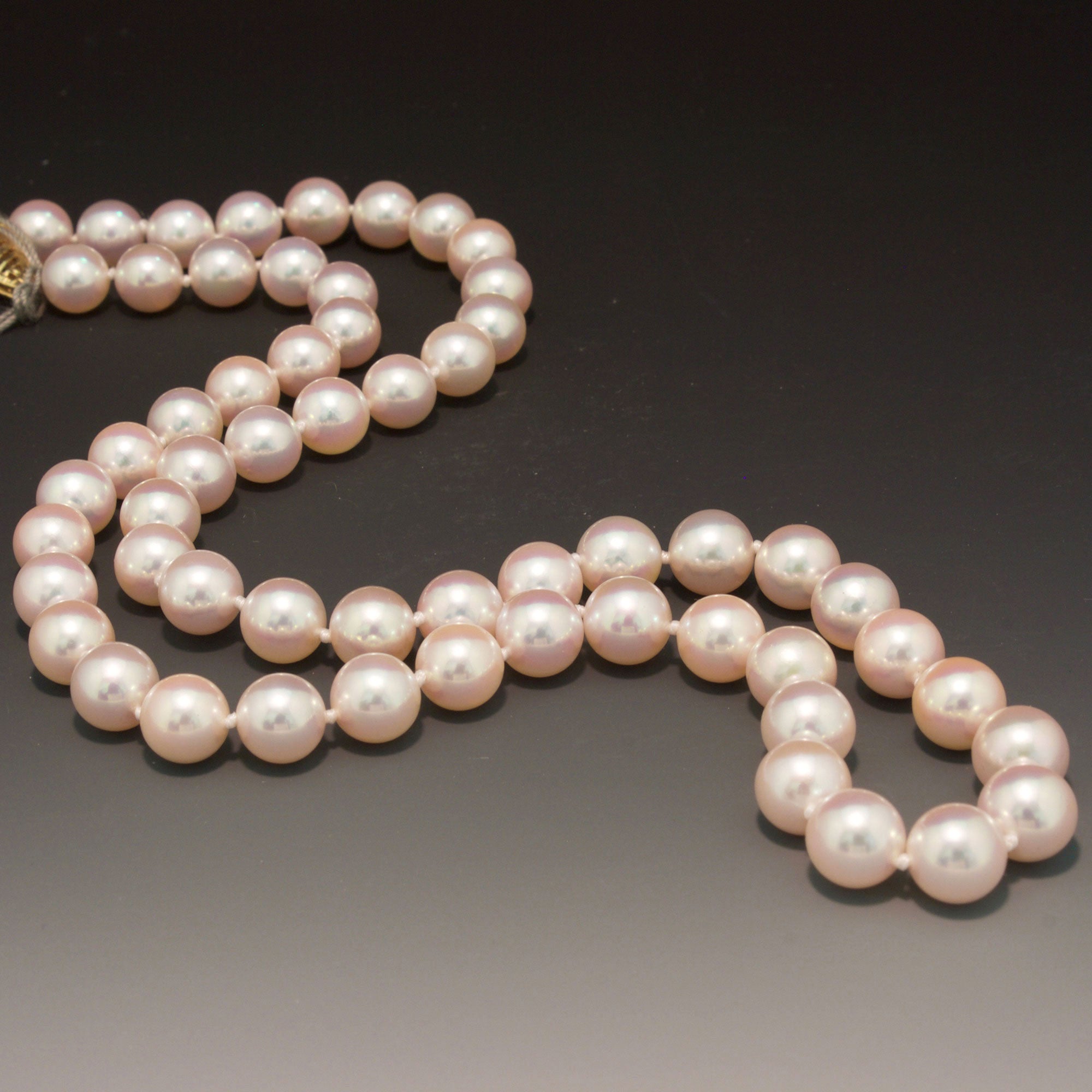 Sale! 14K White Gold High Quality Akoya Pearl Necklace - Larc Jewelers